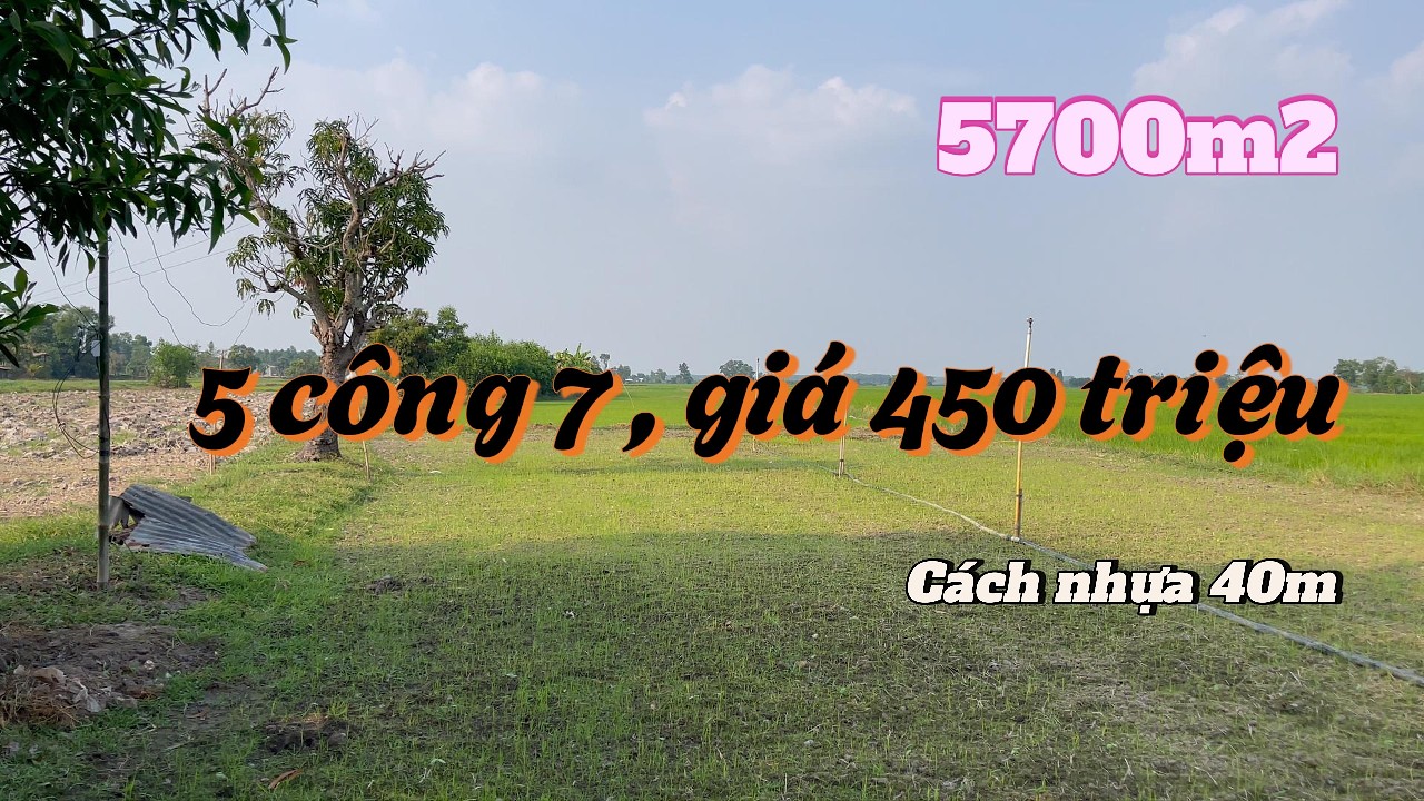 Đất nhà vườn ngộp bán gấp ! Hết 5.7 công giá 450 triệu, còn thương lượng, cách nhựa chỉ 40m
