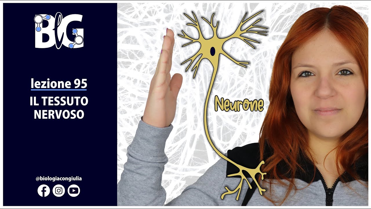 Il TESSUTO NERVOSO