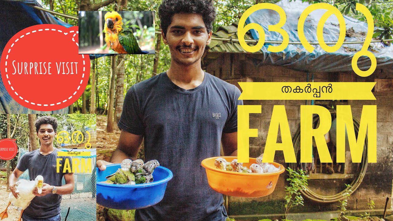 🙀ഒരു തകർപ്പൻ Farm Visit / surprise / Kothamagalam