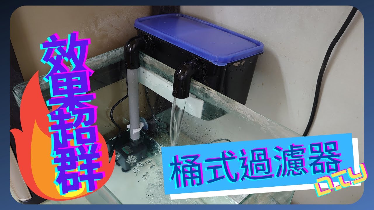 用保鮮盒也能做出五星級的過濾效能/外掛桶式過濾器DIY ep.1/Aquarium Filter & Modifications
