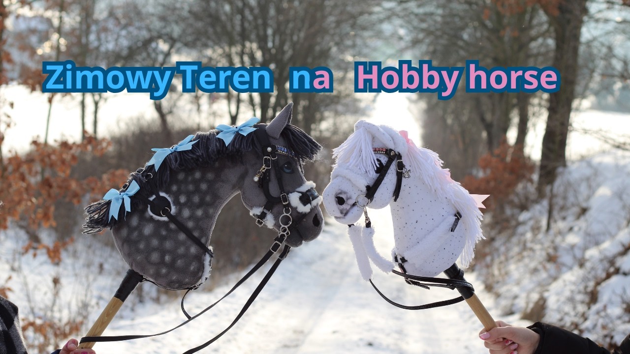 😱PRZESZŁYŚMY po ZAMARZNIĘTYM strumyku!❄️|Zimowy teren na Hobby Horse🐴