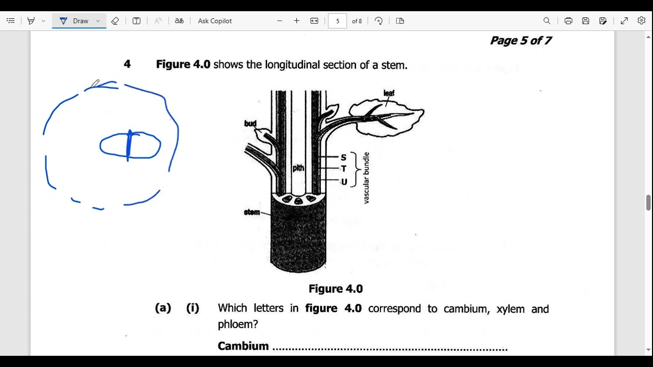 2017 BIOLOGY PAPER 2 INTERNAL