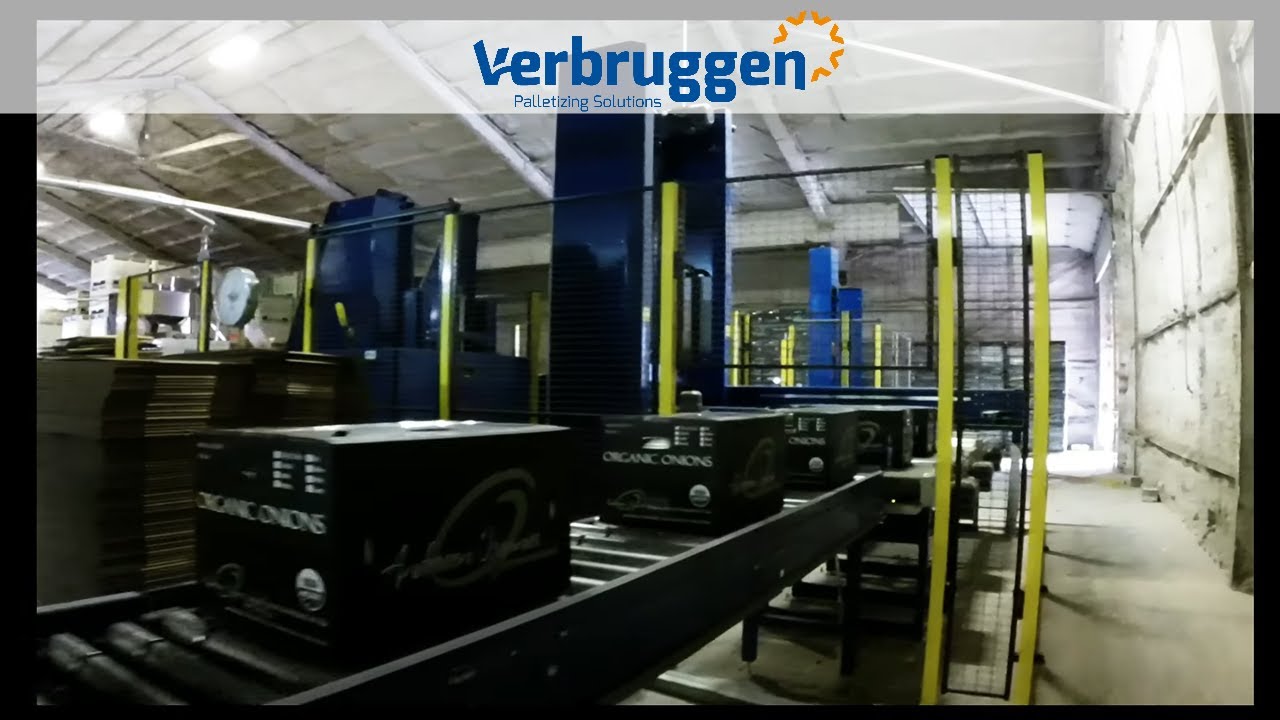 Palletizing | Box Handling Solutions by Verbruggen | Onions in boxes