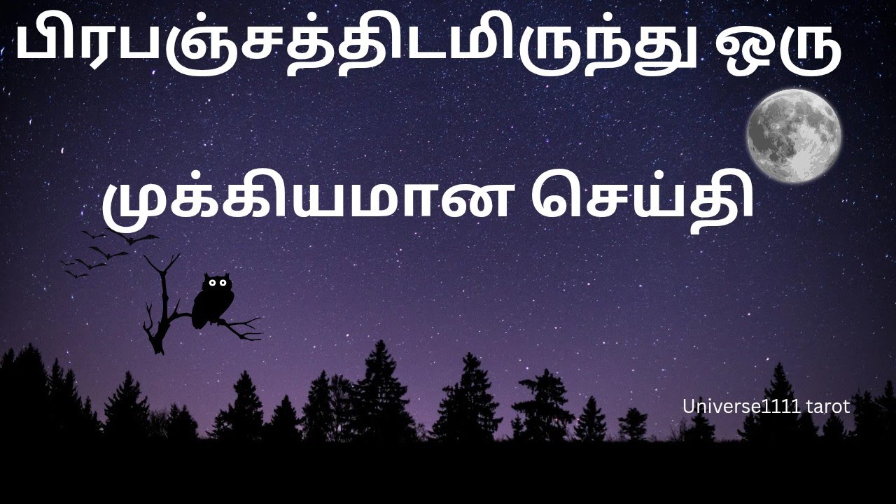  😍|பிரபஞ்சத்திடமிருந்து ஒரு முக்கியமான அழைப்பு#universemessage#pickacard#tarotmessage#divinetarot🙏🙌👈
