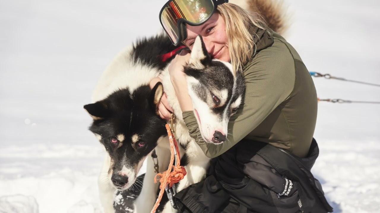 Northern lights husky week - Into the wild husky tours Norway