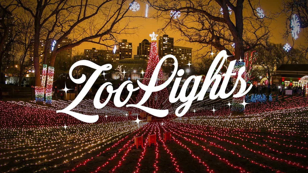 Light up Your Holidays with ZooLights | ZooLights at Lincoln Park Zoo