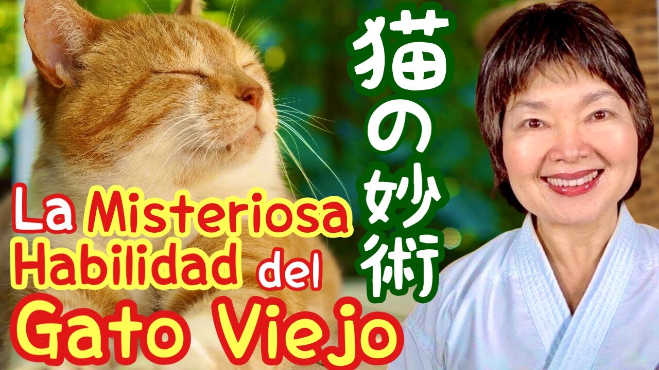 La misteriosa habilidad del gato viejo🐈  La fábula para comprender la meta🥋 Karate55