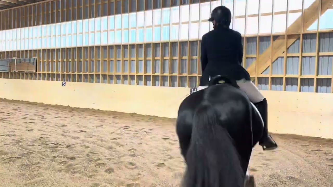 Ella Gibbons riding Confectioners Delight, Novice Test 3 (2024), December 27th, 2025