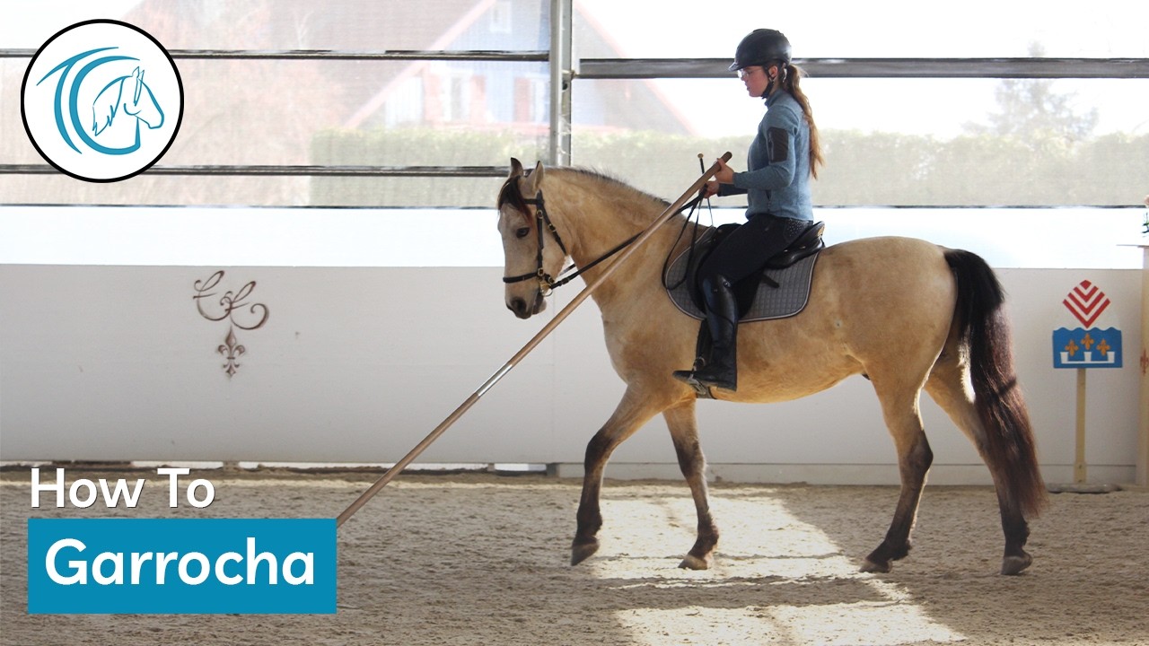 Reiten mit der Garrocha – Grundlagen & sicherer Einstieg