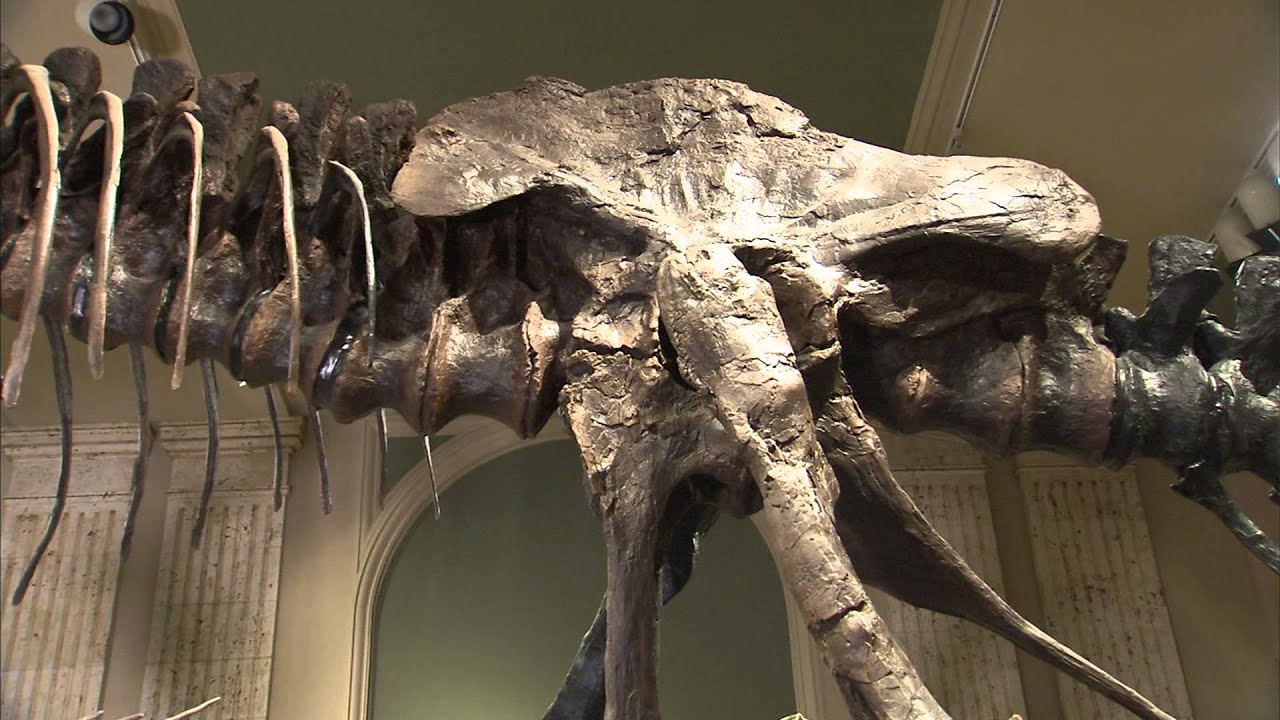 Tour the Kenosha Public Museum!