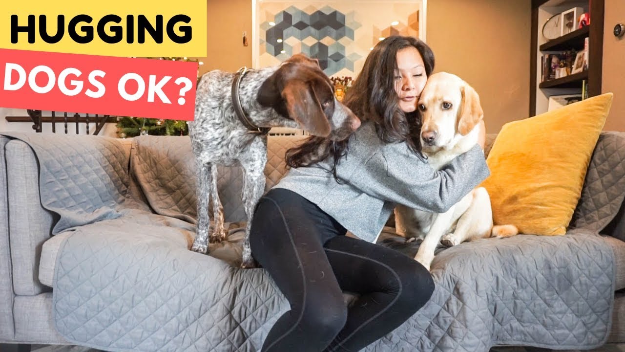 Do dogs like hugs?