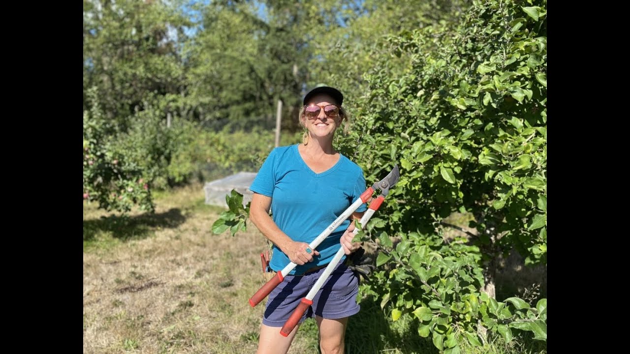 How and Why to Prune Your Fruit Trees in Summer