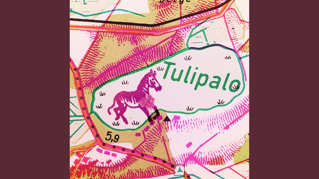 Tulipalo