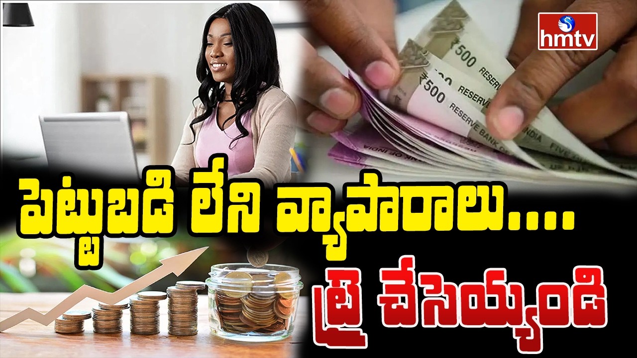 TO THE POINT : పెట్టుబడి లేని వ్యాపారాలు.... ట్రై చేసెయ్యండి | HMTV