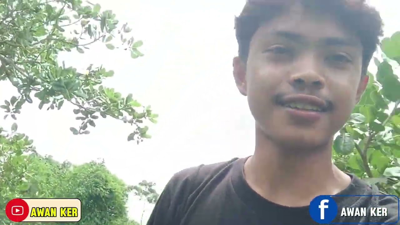 Hari ini kita nyemprot padi. 
