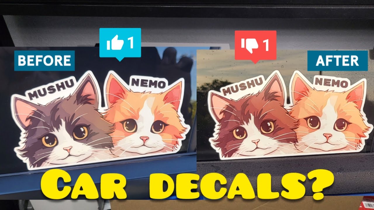 Before You Buy the Liene Photo Sticker Printer… Watch This First!