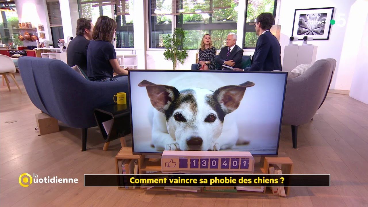 Comment vaincre sa phobie des chiens ?