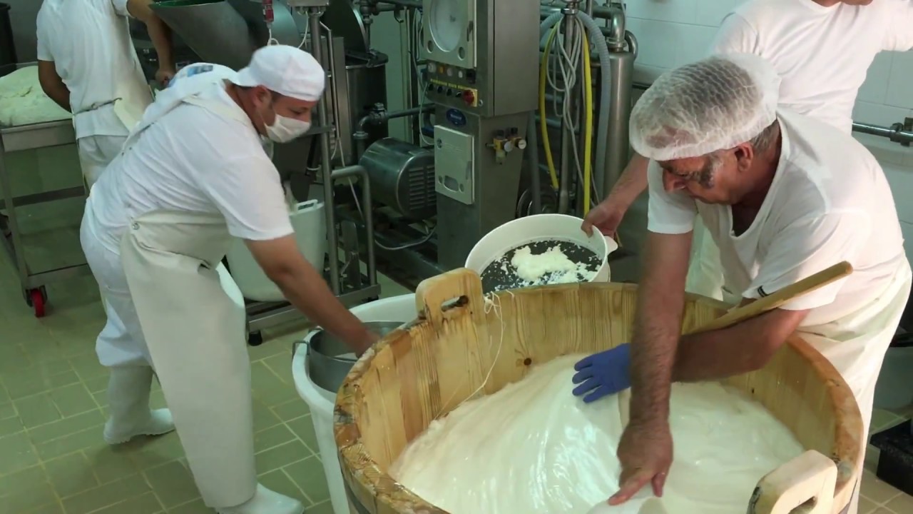 La MOZZARELLA di BUFALA