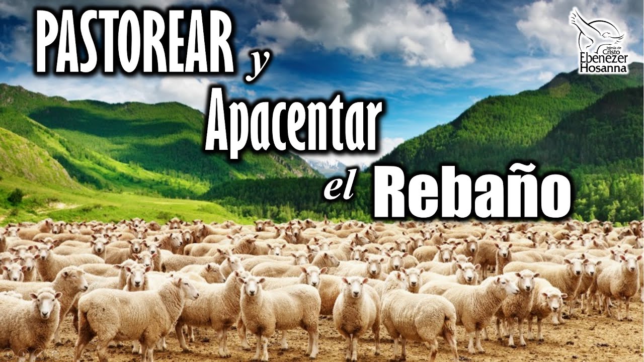 PASTOREAR Y APACENTAR EL REBA&Ntilde;O - Pastor Gustavo Padilla