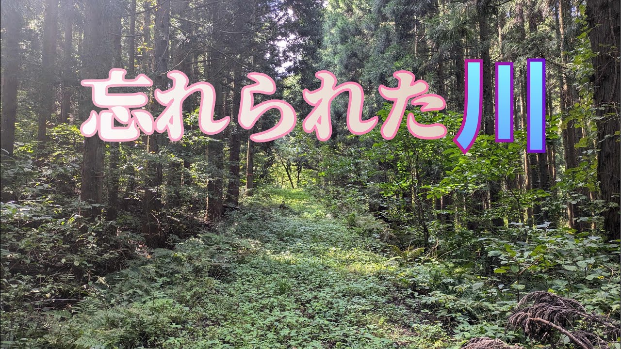 忘れられた川の釣り【フライフィッシング】乾坤一擲の鱒【越後】