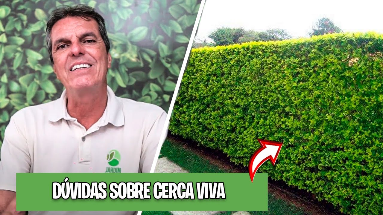 DICAS  SOBRE CERCA VIVA