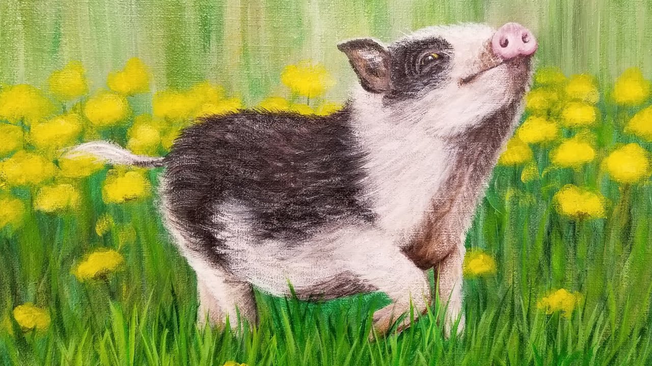 Pig Acrylic Painting LIVE Tutorial #yearofthepig