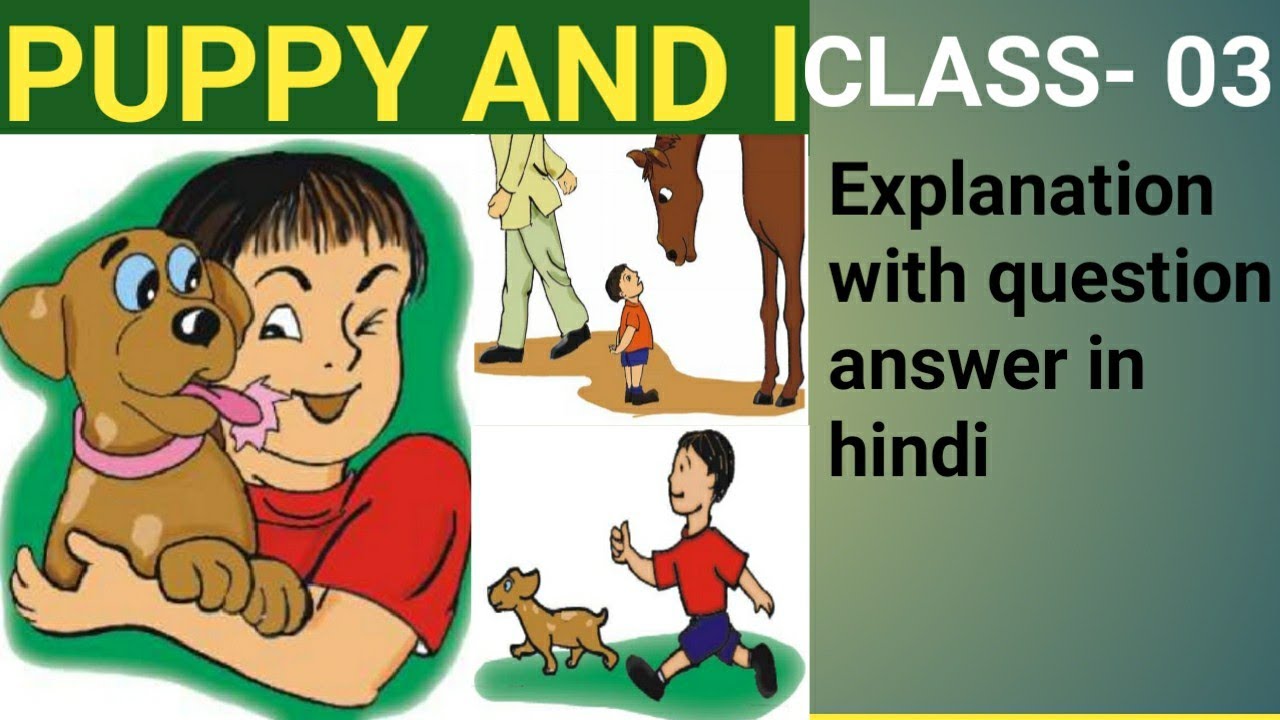 Class 3 poem puppy and I in hindi//puppy and I  poem ncert english class 3 with question answer