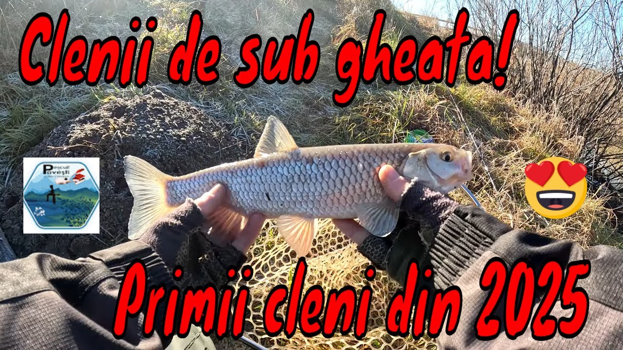 Clenii de sub gheață - Primii cleni din 2025 pe râul Bahlui!