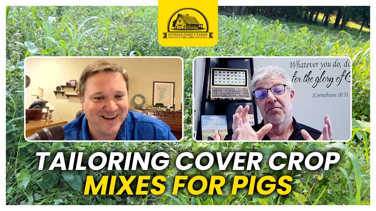 How to Start Growing Cover Crops for Pigs—Tips from an Expert Keith Berns