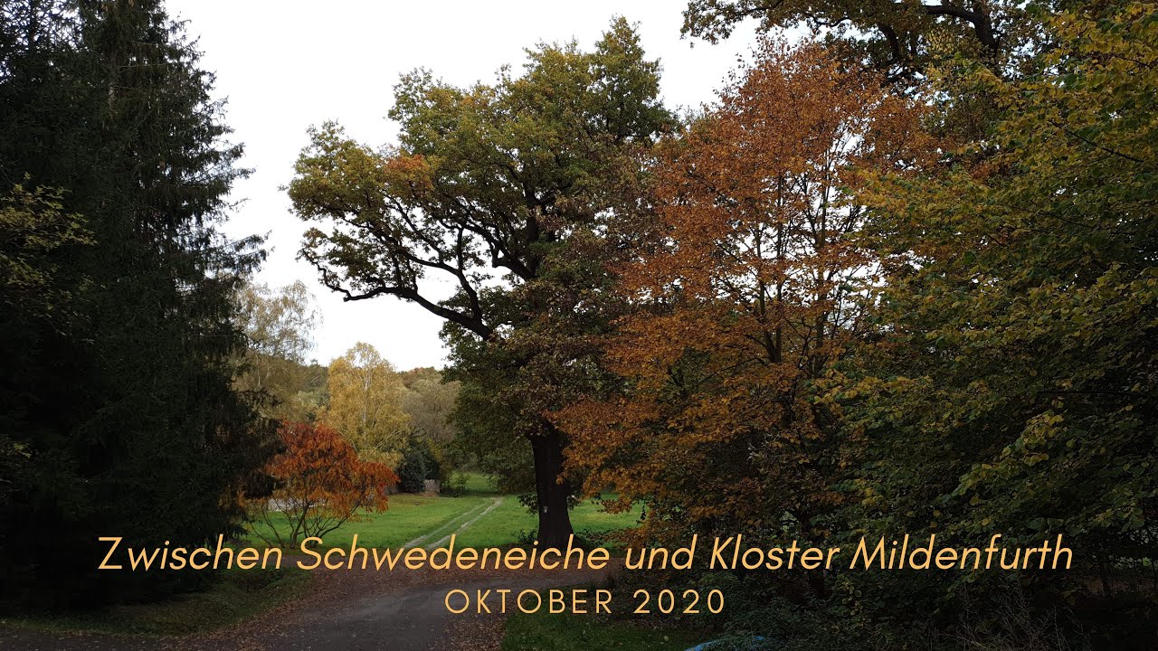 Mit der Xiaomi FIMI X8 SE von der Schwedeneiche bei Weida zum Kloster Mildenfurth in Wünschendorf 4K