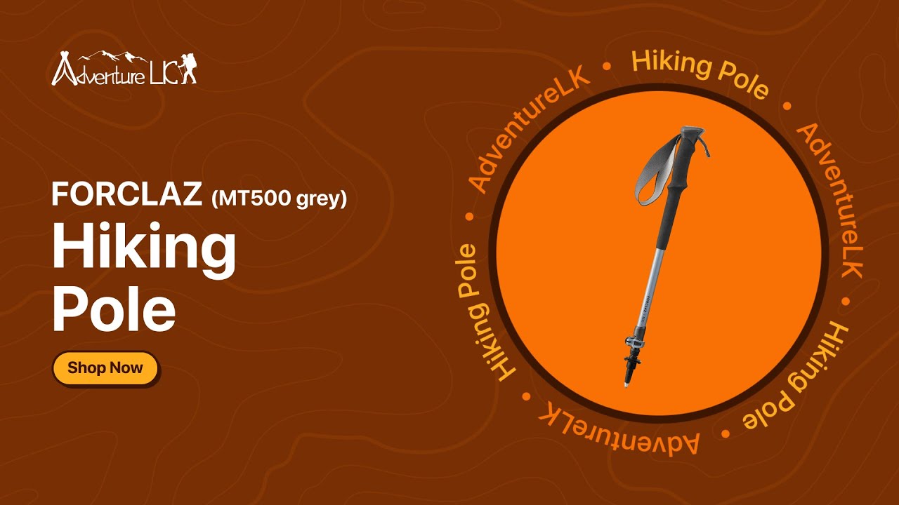 FORCLAZ MT500 Hiking Pole (single pole) | DECATHLON