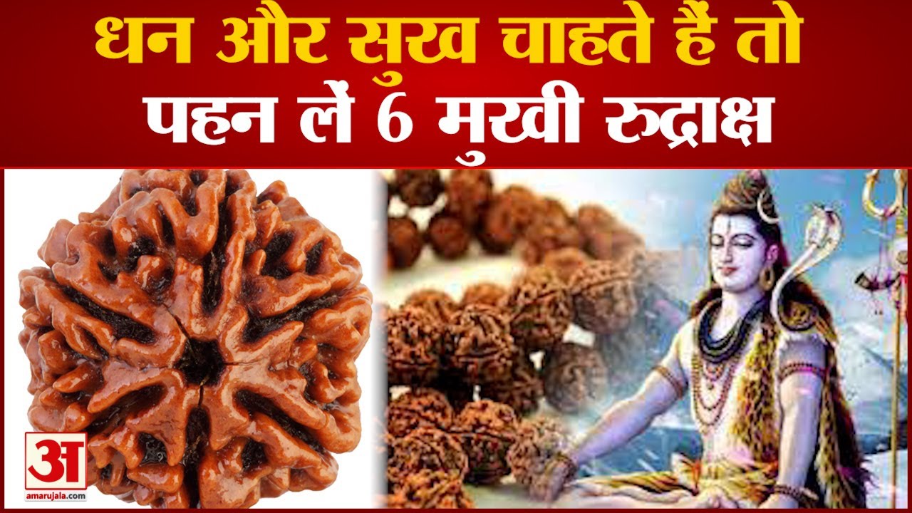 सभी सुखों की प्राप्ति के लिए पहनें छह मुखी रुद्राक्ष, जानें धारण करने का सही तरीका.. #rudraksha