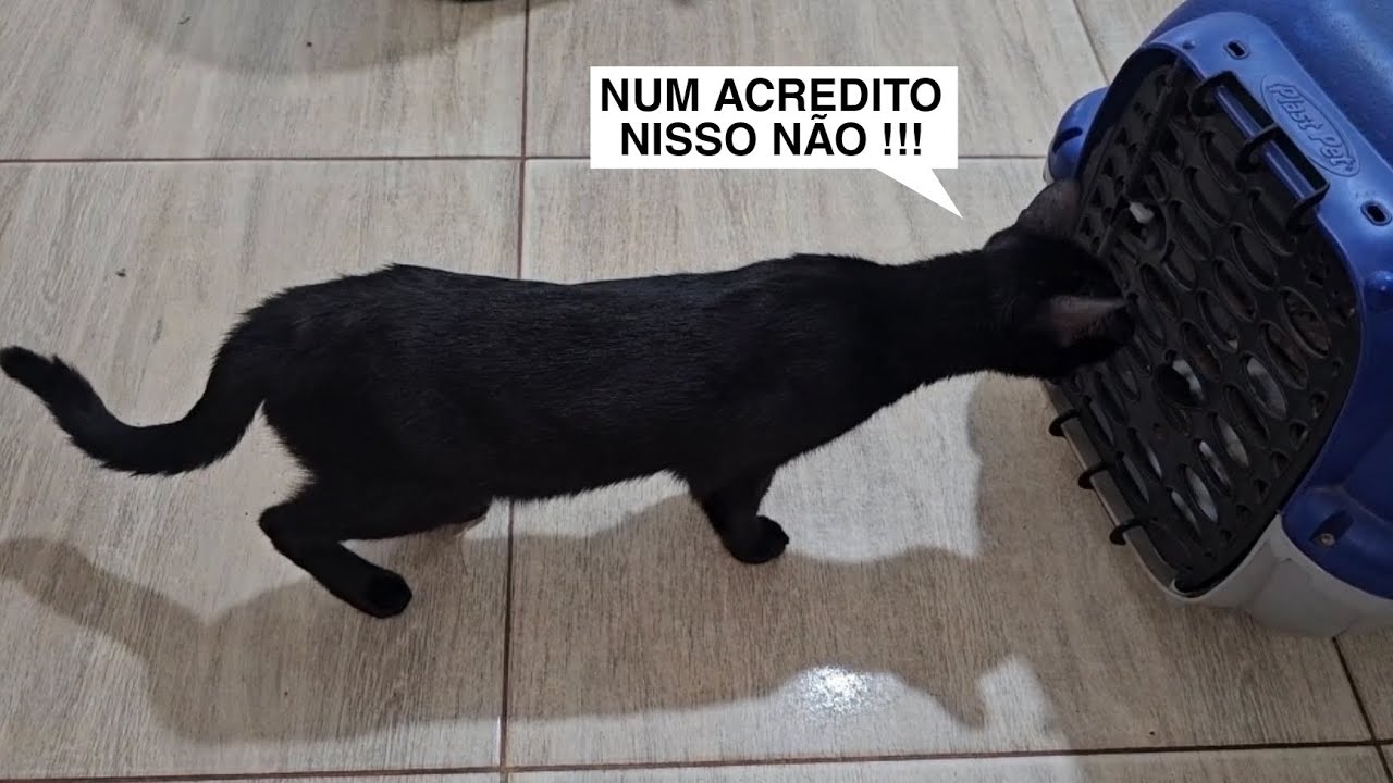 MAIS UMA SURPRESA PARA O JÚLIO !! 😬😅