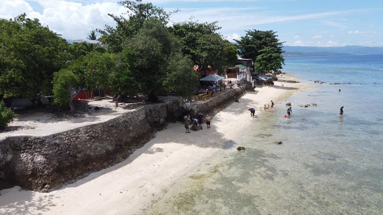 Moalboal, Cebu | Hale Manna Coastal Resort | Moalboal Sardines & Turtle Watching | Canyoneering