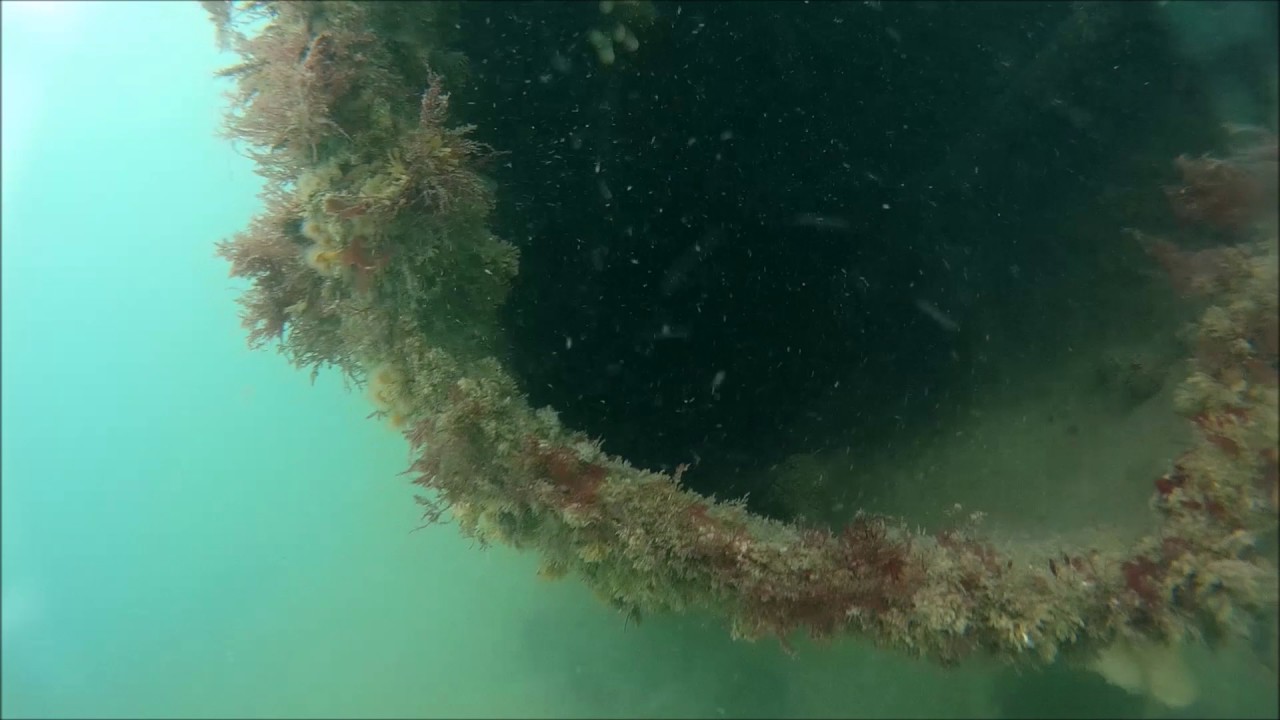 Porth Dafarch - Missouri Wreck Dive