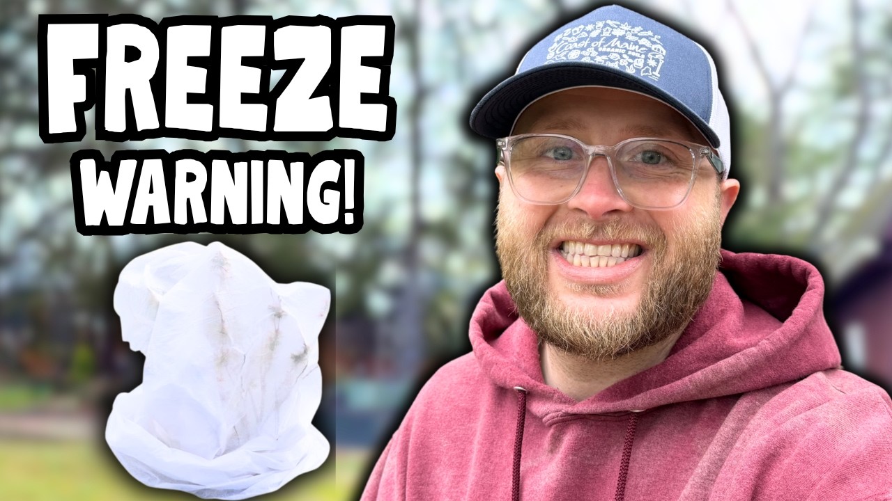 Spring Garden Update: Frost Protection, Gnats & New Seeds