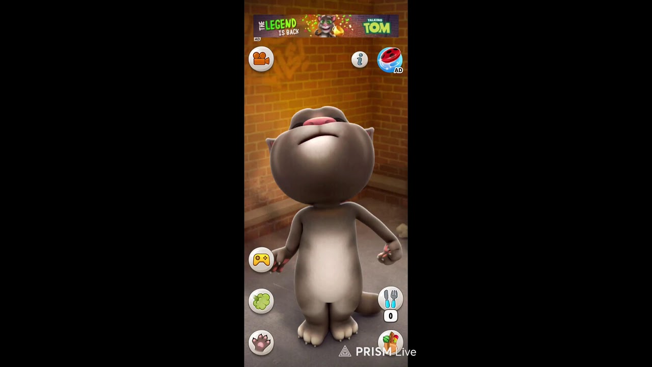 talking tom game