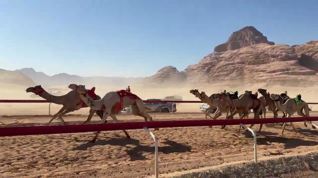 ش٢ زمول ( شاهين) عيد عواد الترابين — التمهيدي الثآلث
