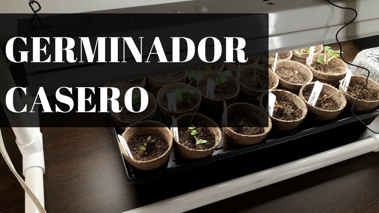COMO HACER UN GERMINADOR CASERO CON TUBOS DE PVC