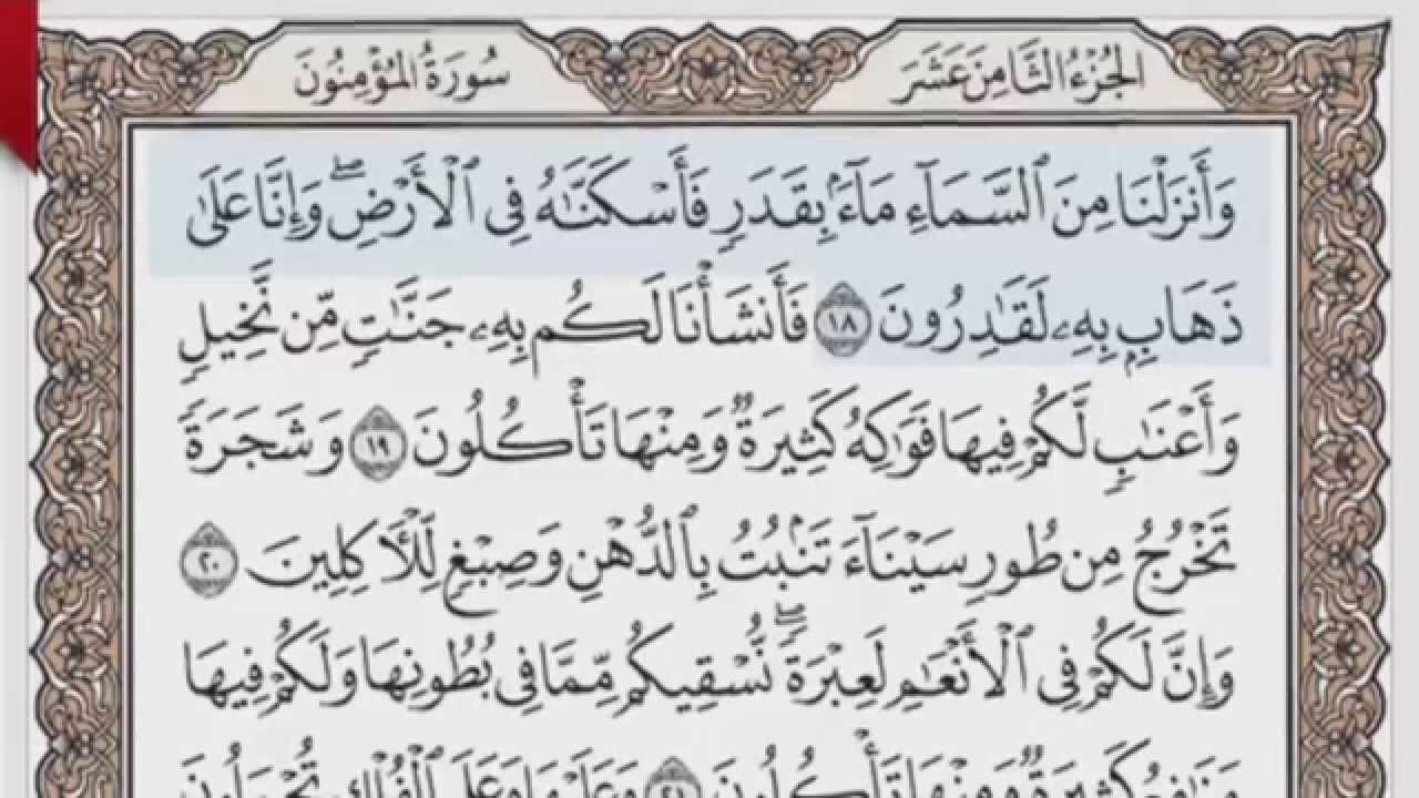القرآن الكريم بالصفحات صوت وصورة ص/ 343 الشيخ محمود خليل الحصري بمد المنفصل
