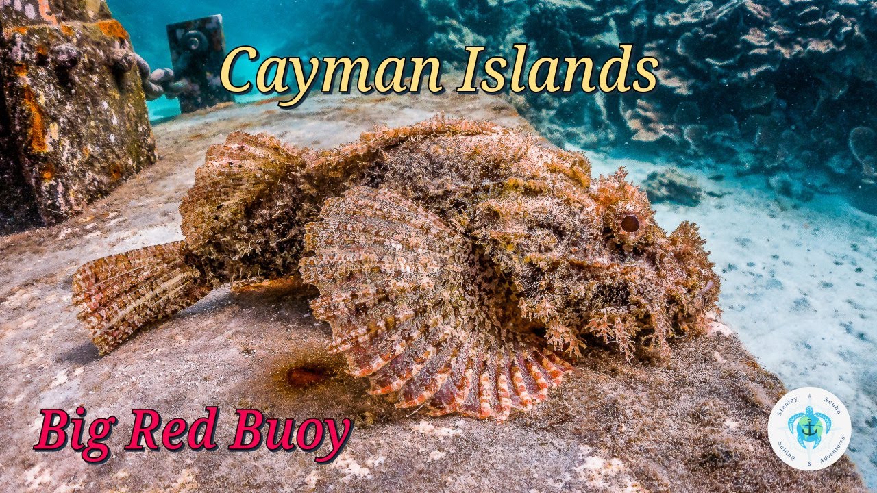 Scuba Diving Grand Cayman Big Red Buoy