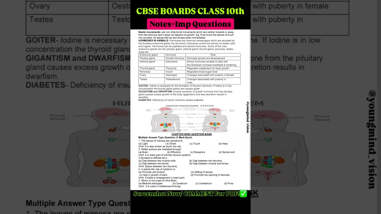 Class 10 Science Chapter 6 | Control and Coordination | Notes + Important Questions 