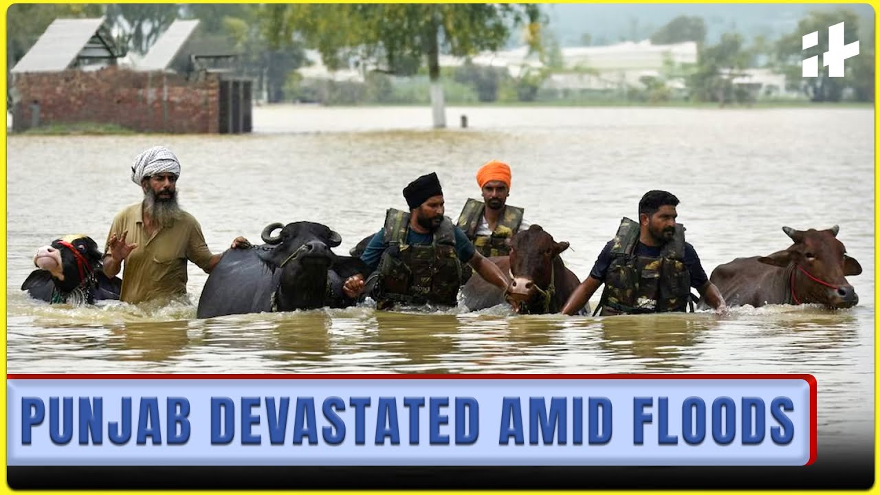 Punjab Floods Worsen | Rain Batters Multiple Districts | Thousands Stranded