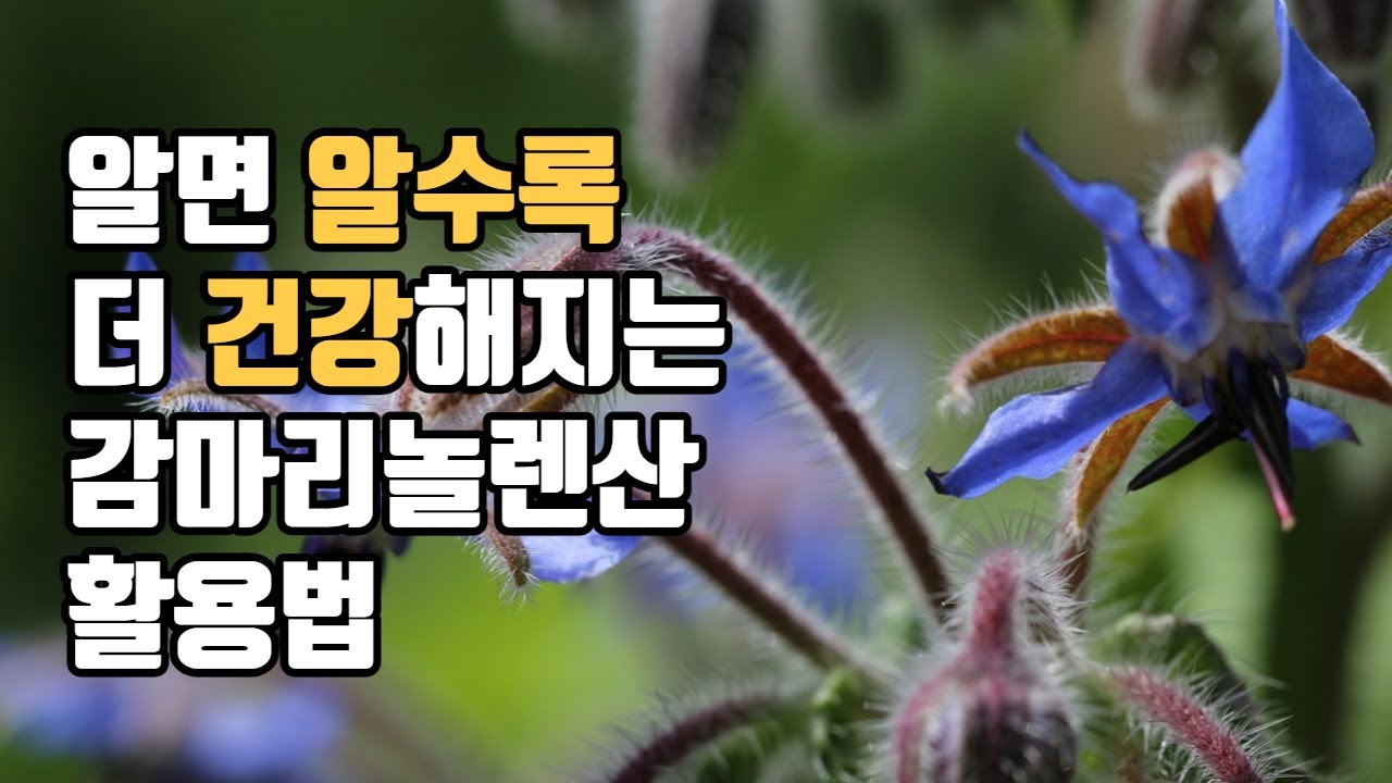 알면 알수록 더 건강해지는 감마리놀렌산 활용법