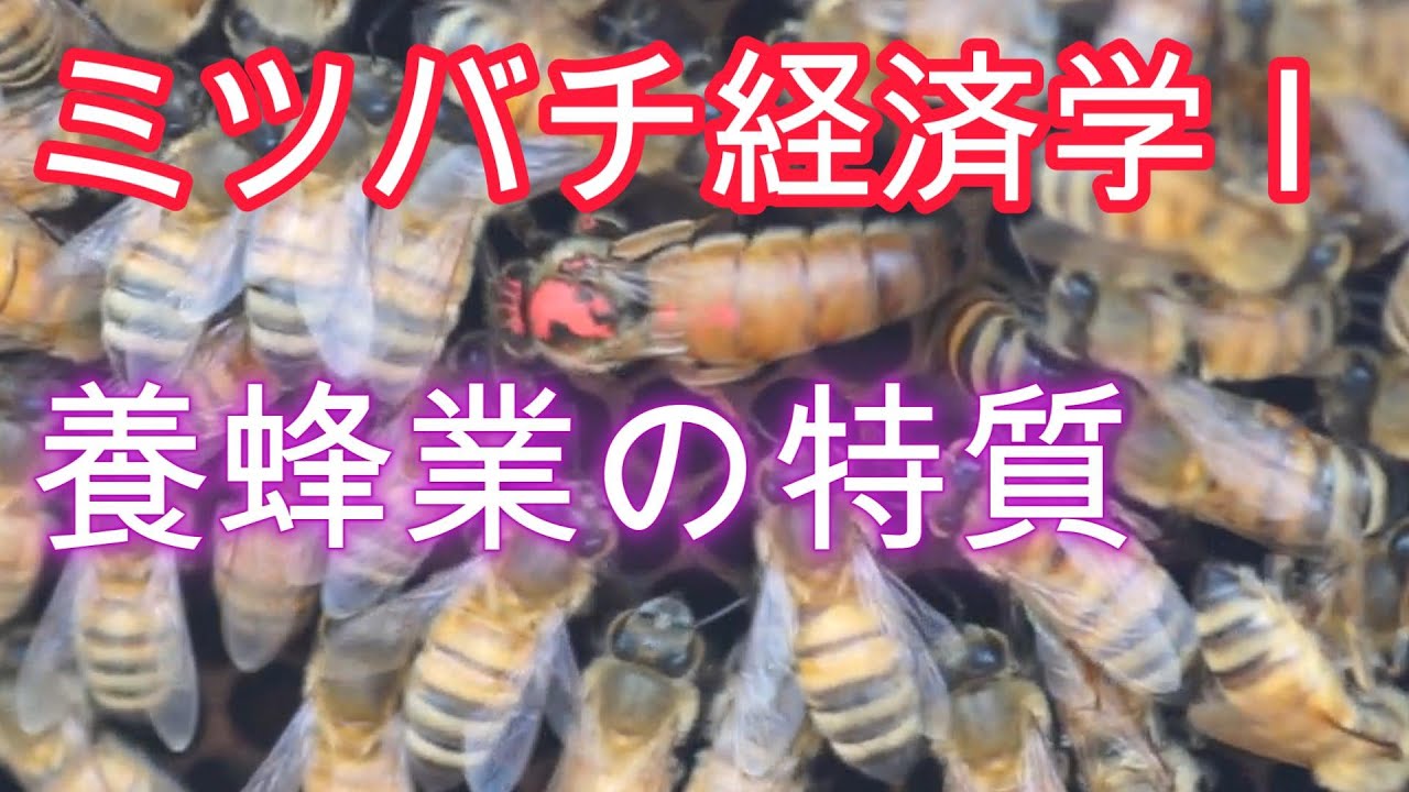 ミツバチ経済学 Ⅰ／養蜂業の特質／山崎亮一／東京農工大学農業経済学講義2024／日英字幕付き／Beekeeping economics Ⅰ／Ryoichi Yamazaki／ Eng sub