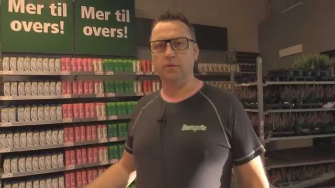 &Aring;pningsuke hos Europris - Finnsnes Handelspark
