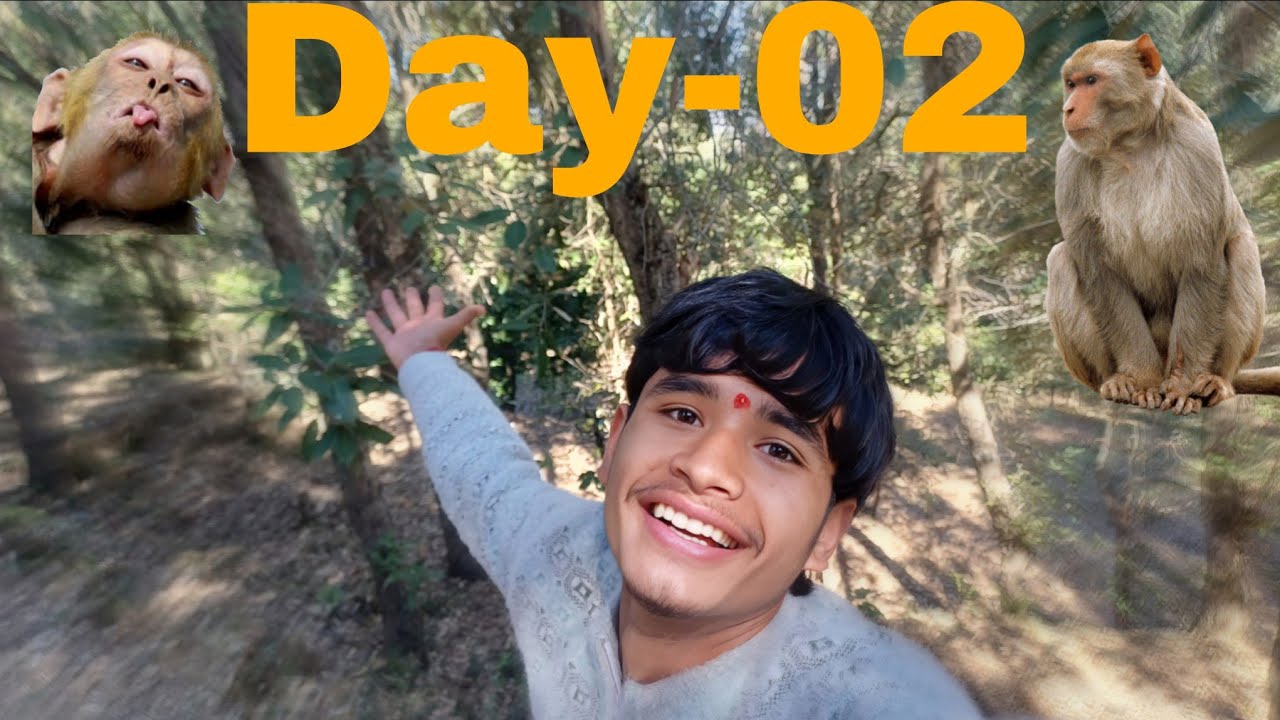 Monkeys Attack Day 2 Continuous Attack 😊