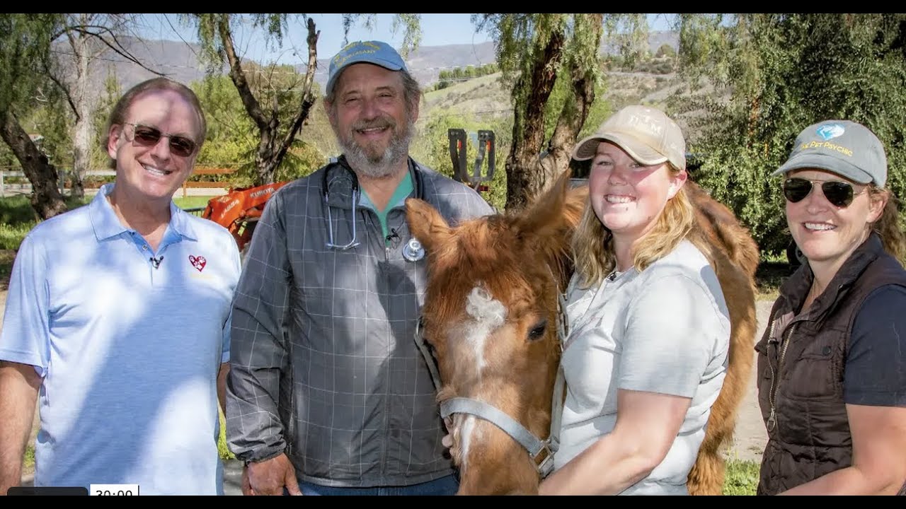 The Pet Psychic ® Talks With Butterscotch The Horse About Her Teeth