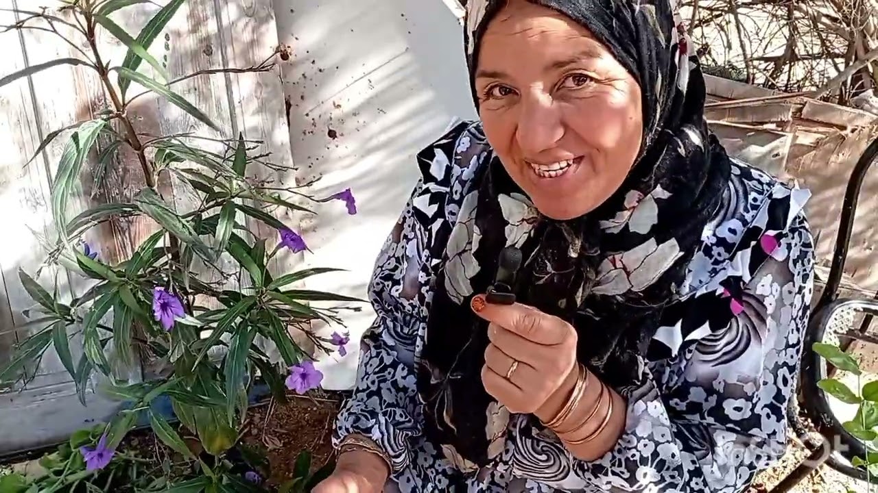 تصميم ديكور بهي للحديقة و زراعة النباتات الجميلة 