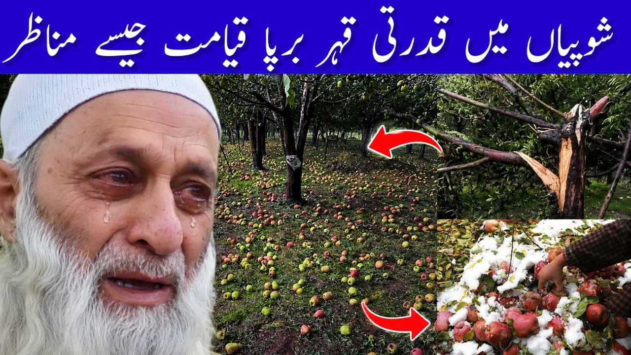 Morning Headlines | Jammu Kashmir News | Today 07 August 2026 | Newspaper Headlines 
